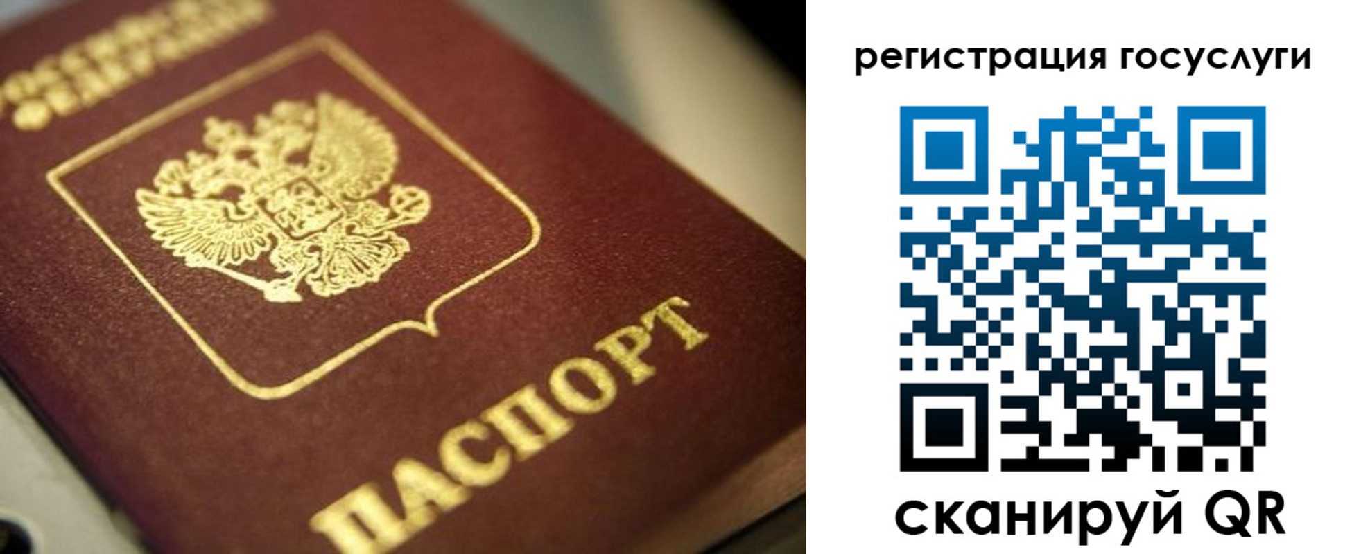 временная регистрация поиск в Видном